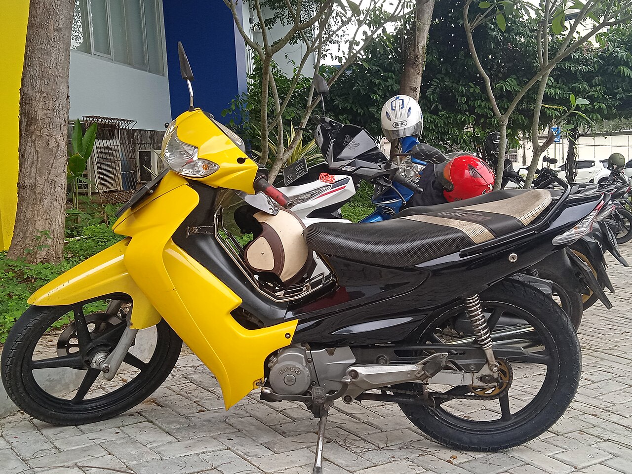 羽毛球新赛季前瞻：格局变化与潜在黑马